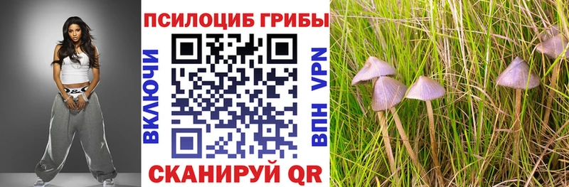 Псилоцибиновые грибы GOLDEN TEACHER  МЕГА ССЫЛКА  Сосновка 